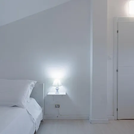 Elegance بولونيا