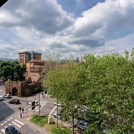 Elegance بولونيا